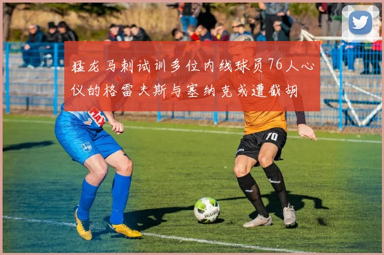 猛龙马刺试训多位内线球员76人心仪的格雷夫斯与塞纳克或遭截胡
