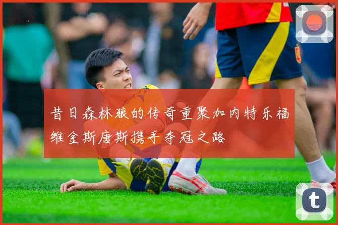 昔日森林狼的传奇重聚加内特乐福维金斯唐斯携手夺冠之路
